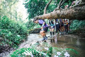 BIB: 
                            <button type="button" onclick="openModal(25465962)" class="btn btn-primary btn-sm float-right btn-popup" data-toggle="modal" data-target=".modal-high-quality">
                        <i class="fas fa-shopping-cart"></i> Add to Cart
                    </button>
                                            <button type="button" onclick="isThisMe(25465962, true)" class="btn btn-success btn-sm float-right btn-popup btn-isme hidden" data-toggle="tooltip" data-placement="bottom" title="นี่คือรูปของคุณใช่ไหม คลิกที่นี่เพื่อเอาเข้าอัลบั้ม">
                        <i class="fas fa-plus"></i> Add to album
                    </button>
                    <button type="button" onclick="isThisMe(25465962, false)" class="btn btn-warning btn-sm float-right btn-popup btn-isnotme hidden">
                        <i class="fas fa-ban"></i> Remove from album
                    </button>